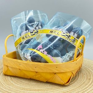 日本山梨溫室巨峰